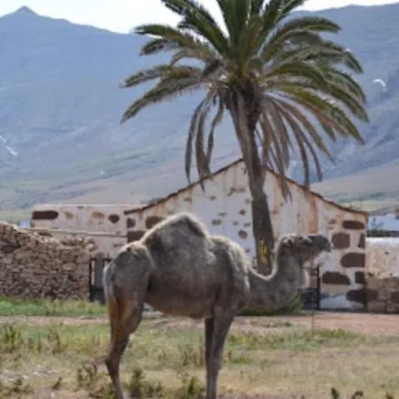 Vv Casa Josue 科斯塔卡莱塔